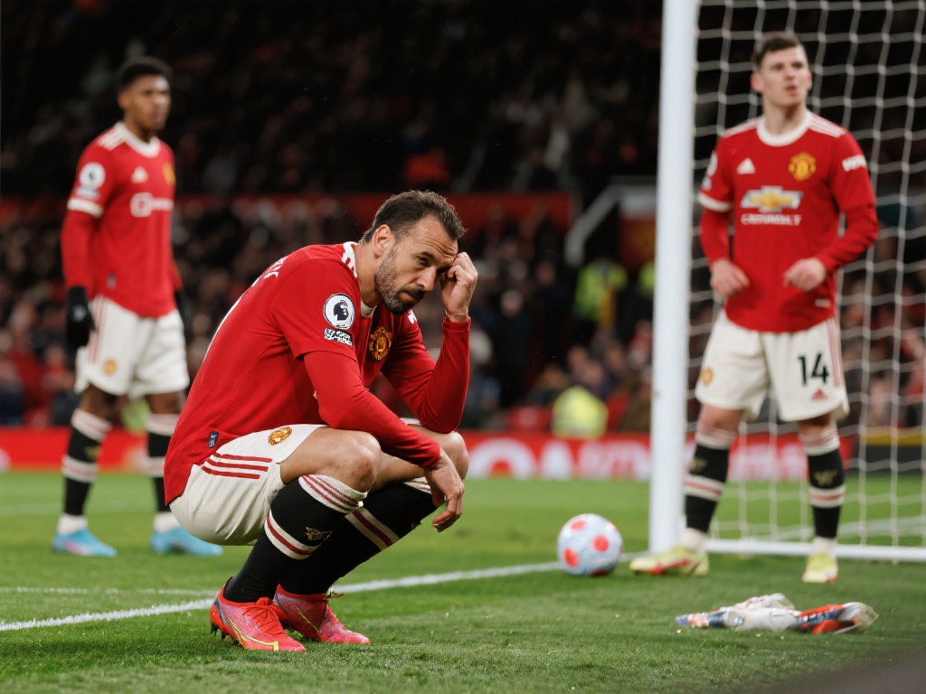 学习的最终 学习的最终