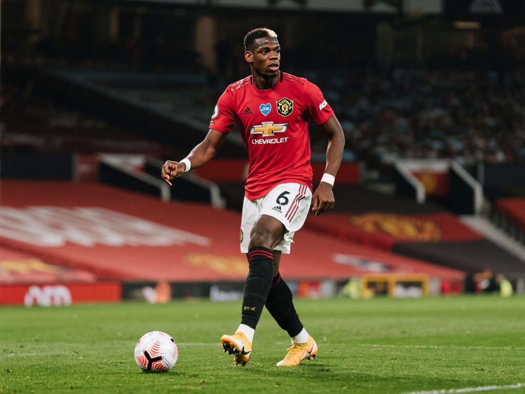 甲的节奏和 甲的节奏和